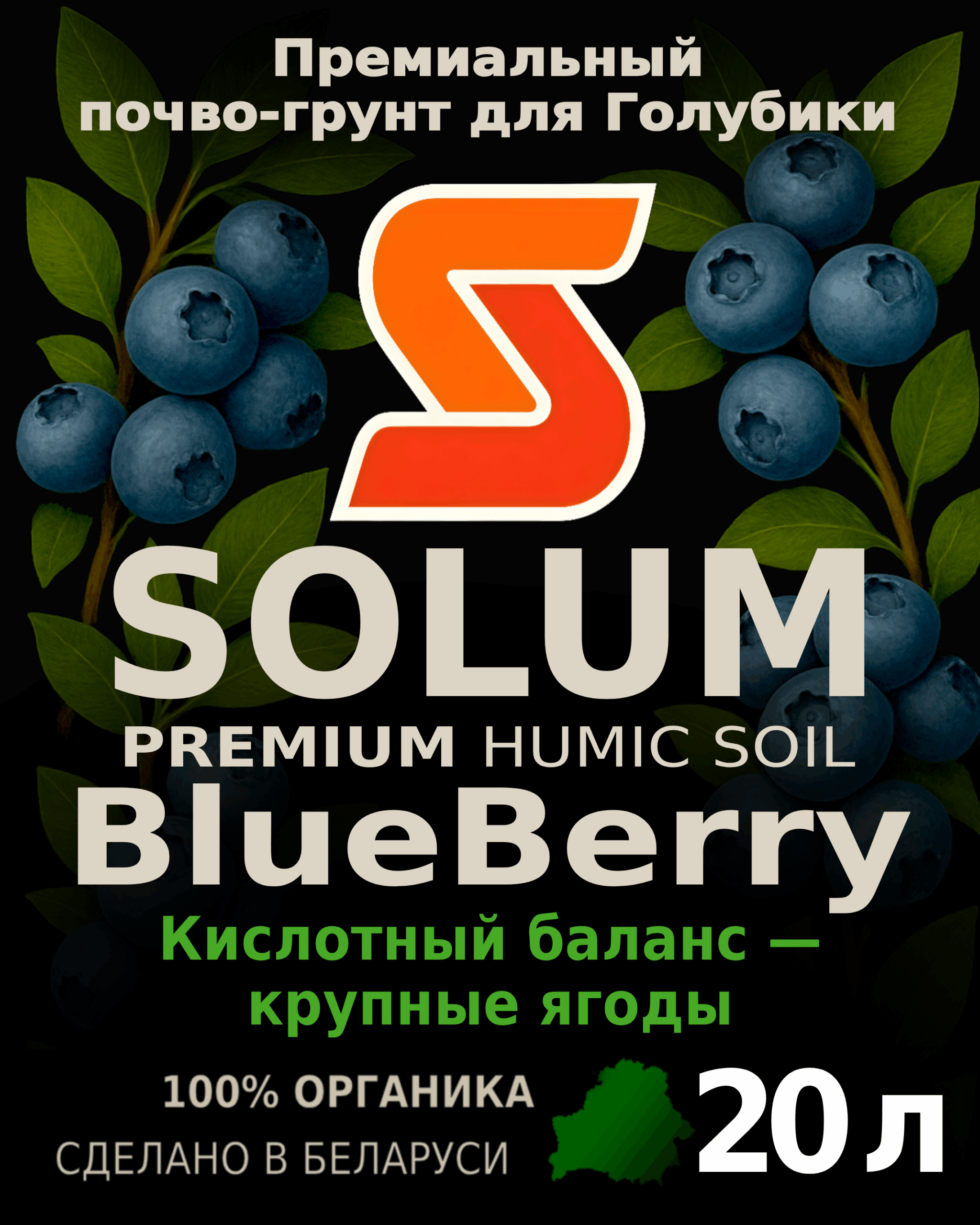голубика_20