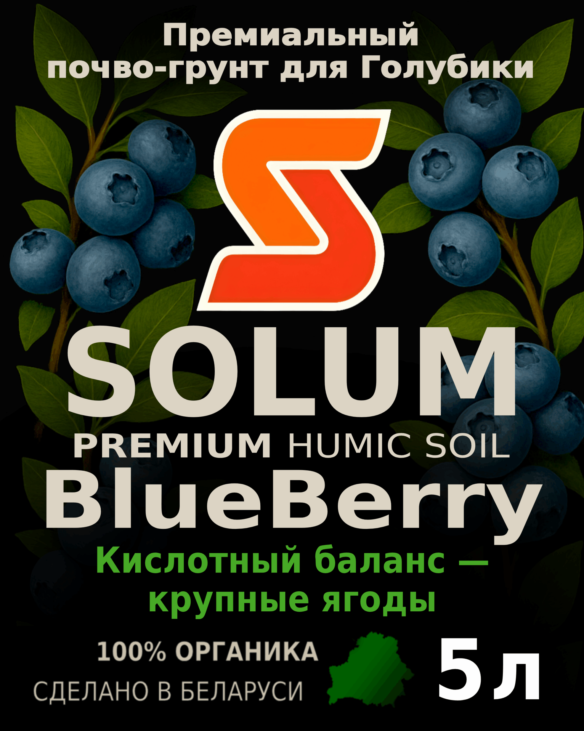 голубика_5