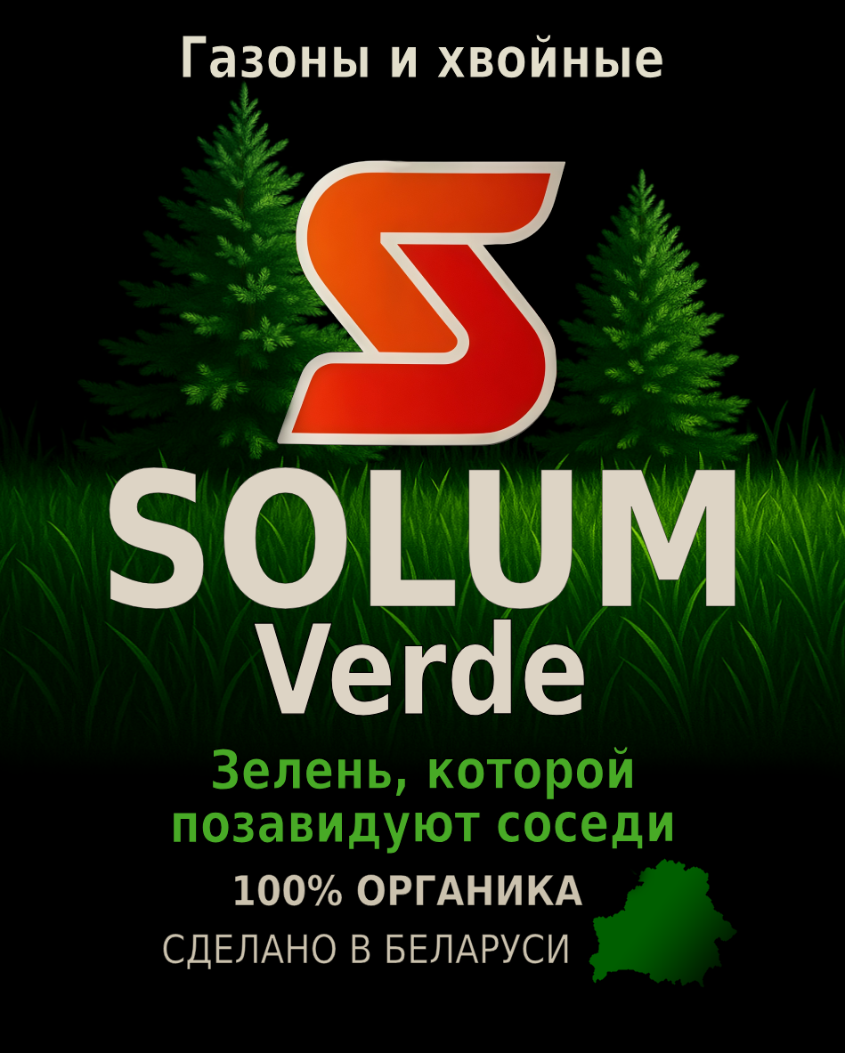 новое1