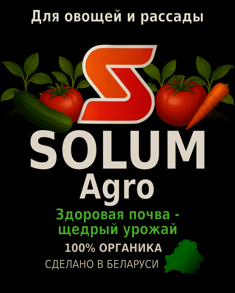 новое3