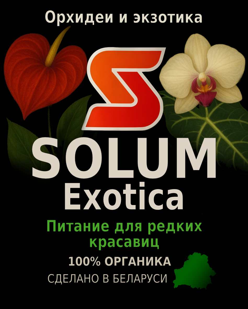 новое4
