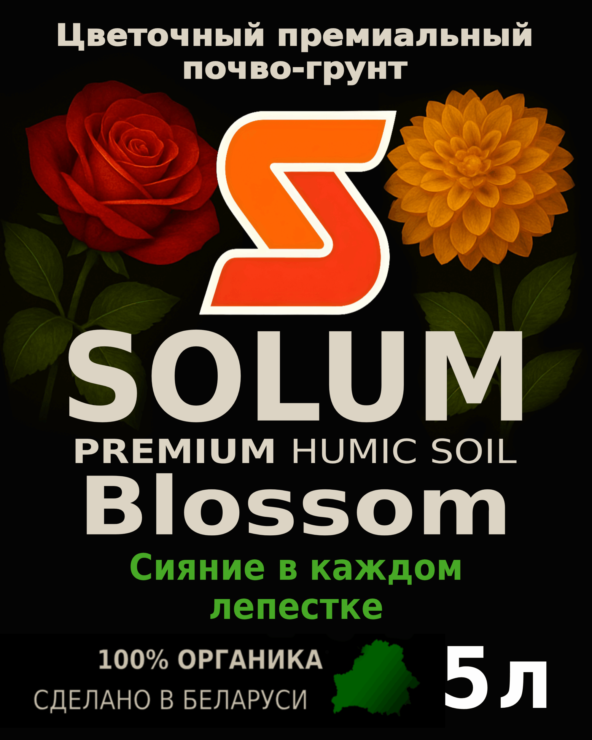 цвет_5